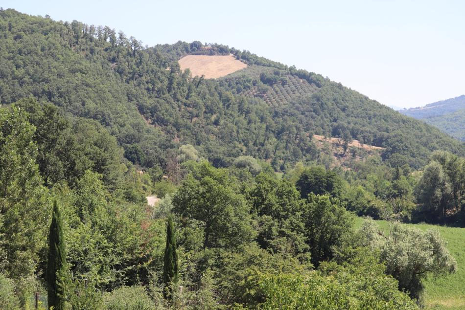 View over the Umbrian valley